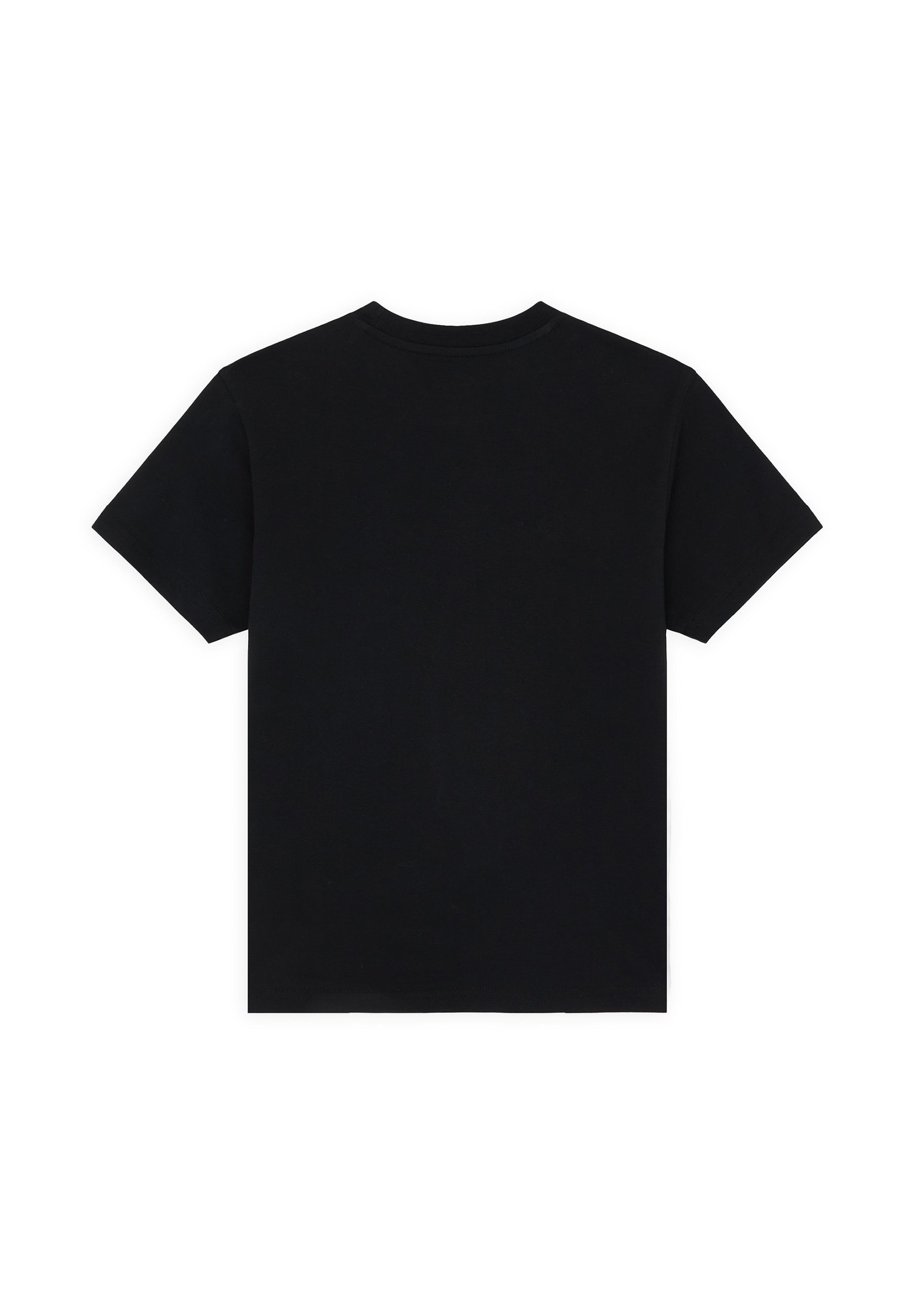Dickies T-shirts