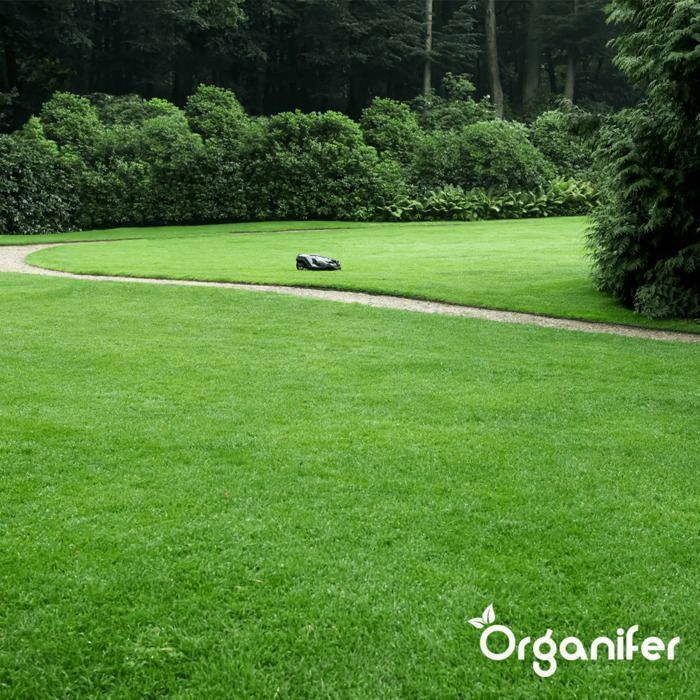 Engrais - Organifer - Engrais Pour Pelouse - Sulfate De Fer Engrais - Éliminateur De Mousse - 20 Kg Pour 1000M2