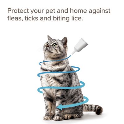 beaphar FIPROtec® COMBO Floh- und Zeckenmittel Spot-On für Katzen