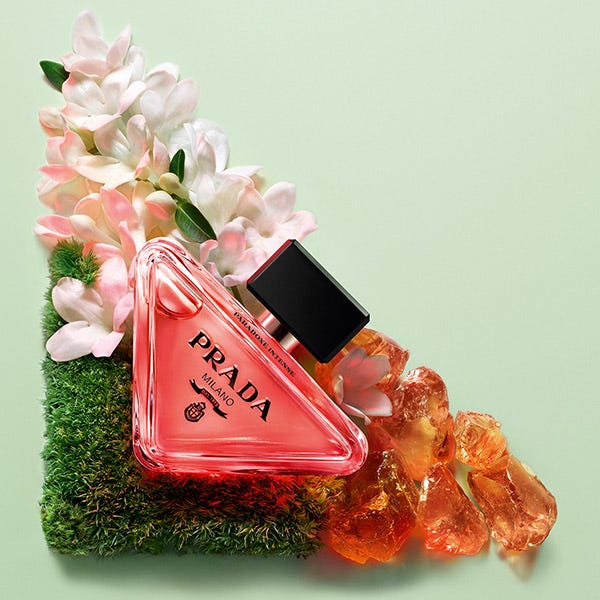 Paradoks Intenzitet
