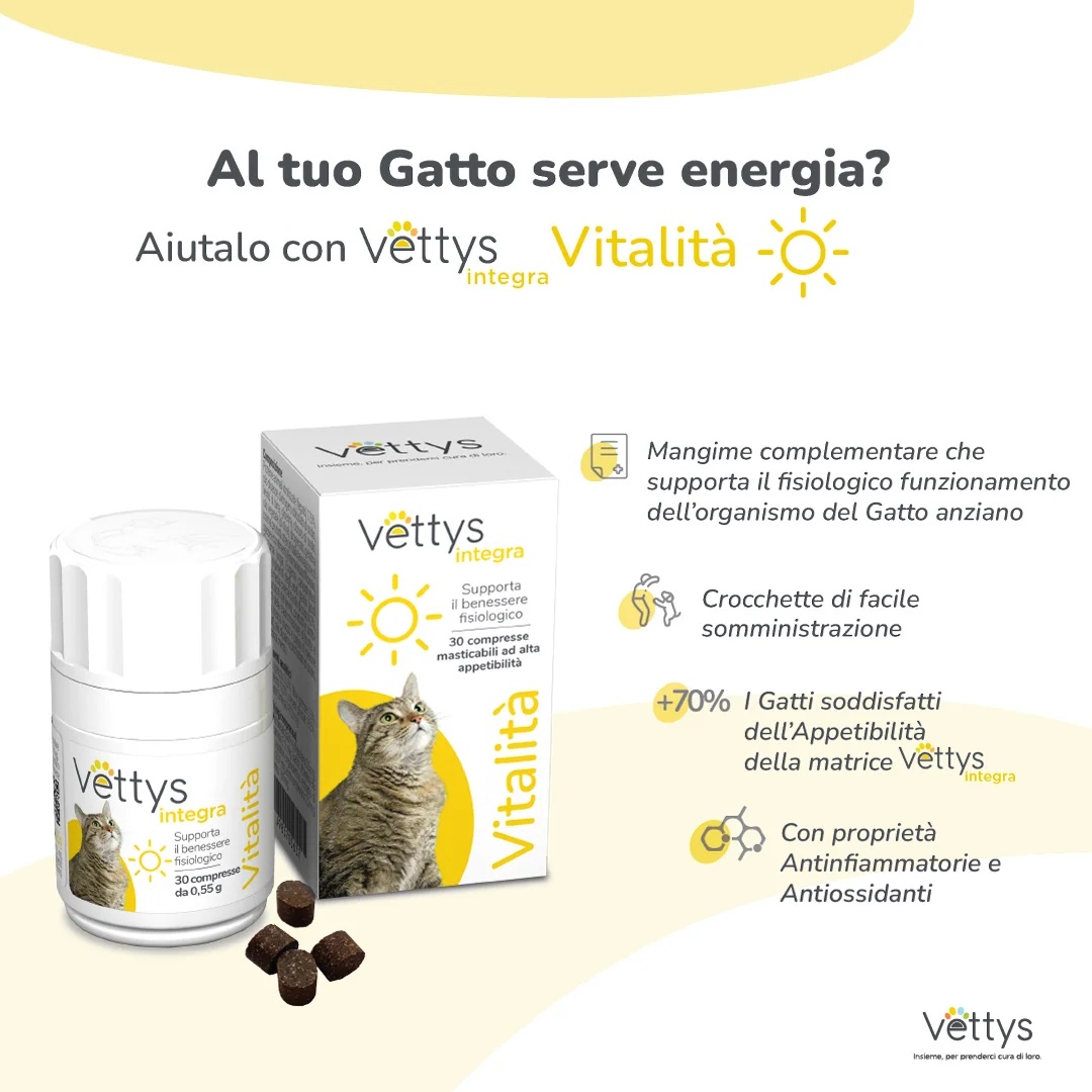 VETTYS Vettys Integra Vitality voor katten 30 tabletten Energie en vitaliteit