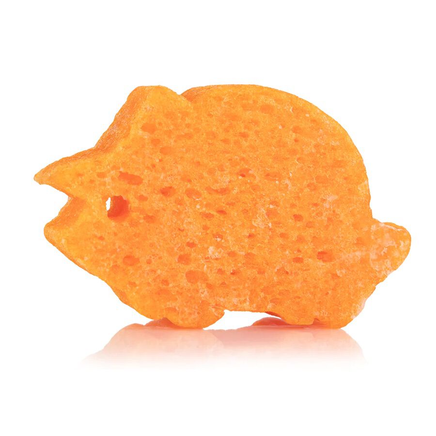 Coleção Spongelle Spongesaurus