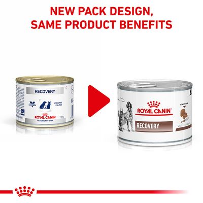 Royal Canin Veterinary Dog & Cat – Spumă de recuperare