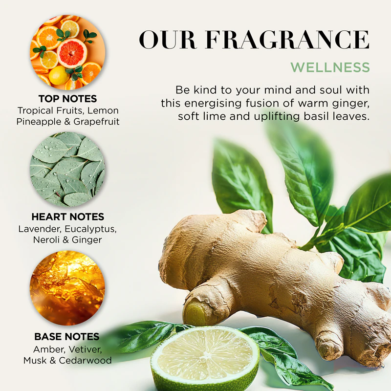 Baylis & Harding Wellness. Energise Body Gift Set met gember, limoen en basilicum.