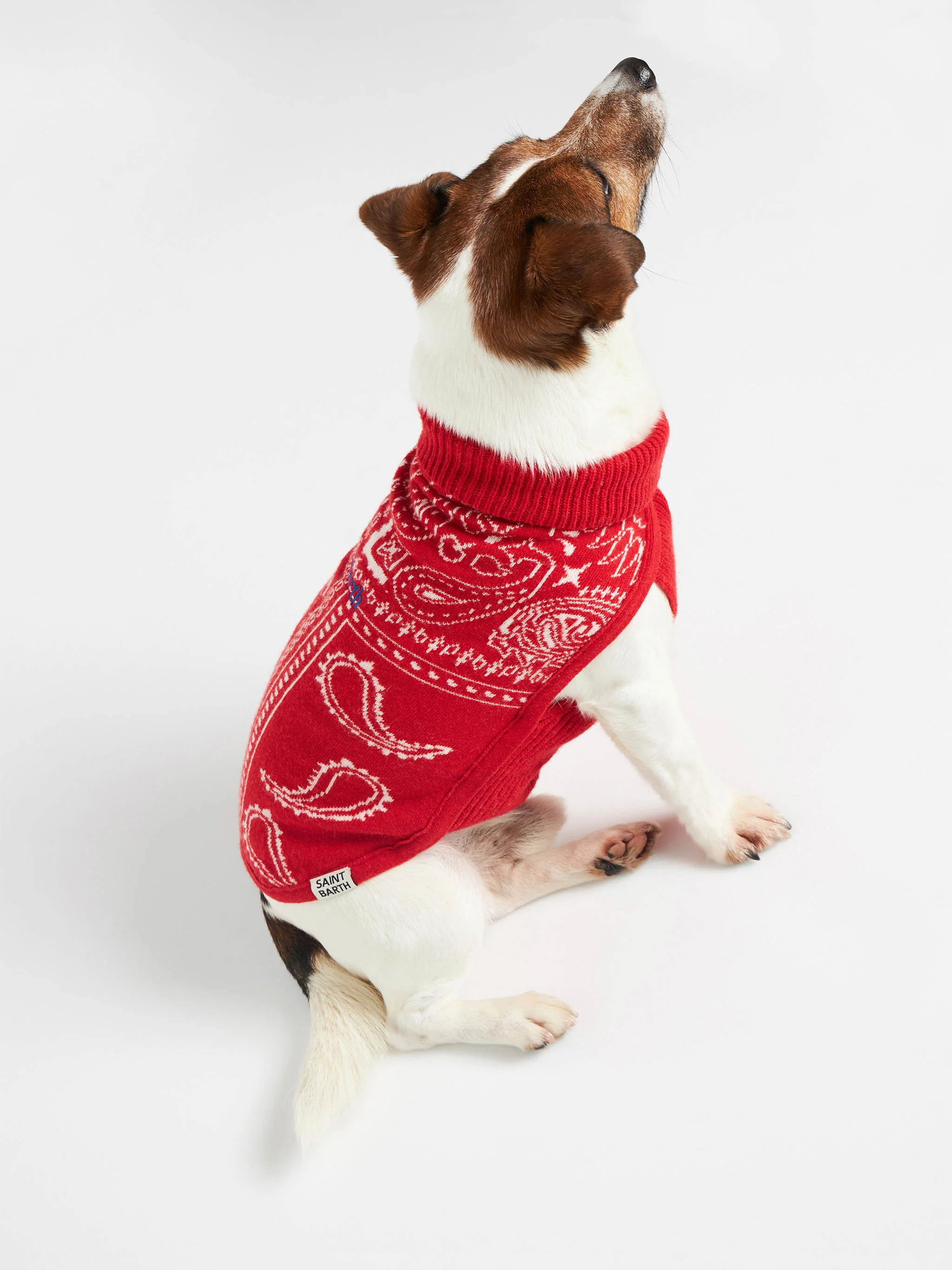 Jersey para perro con estampado de pañuelo