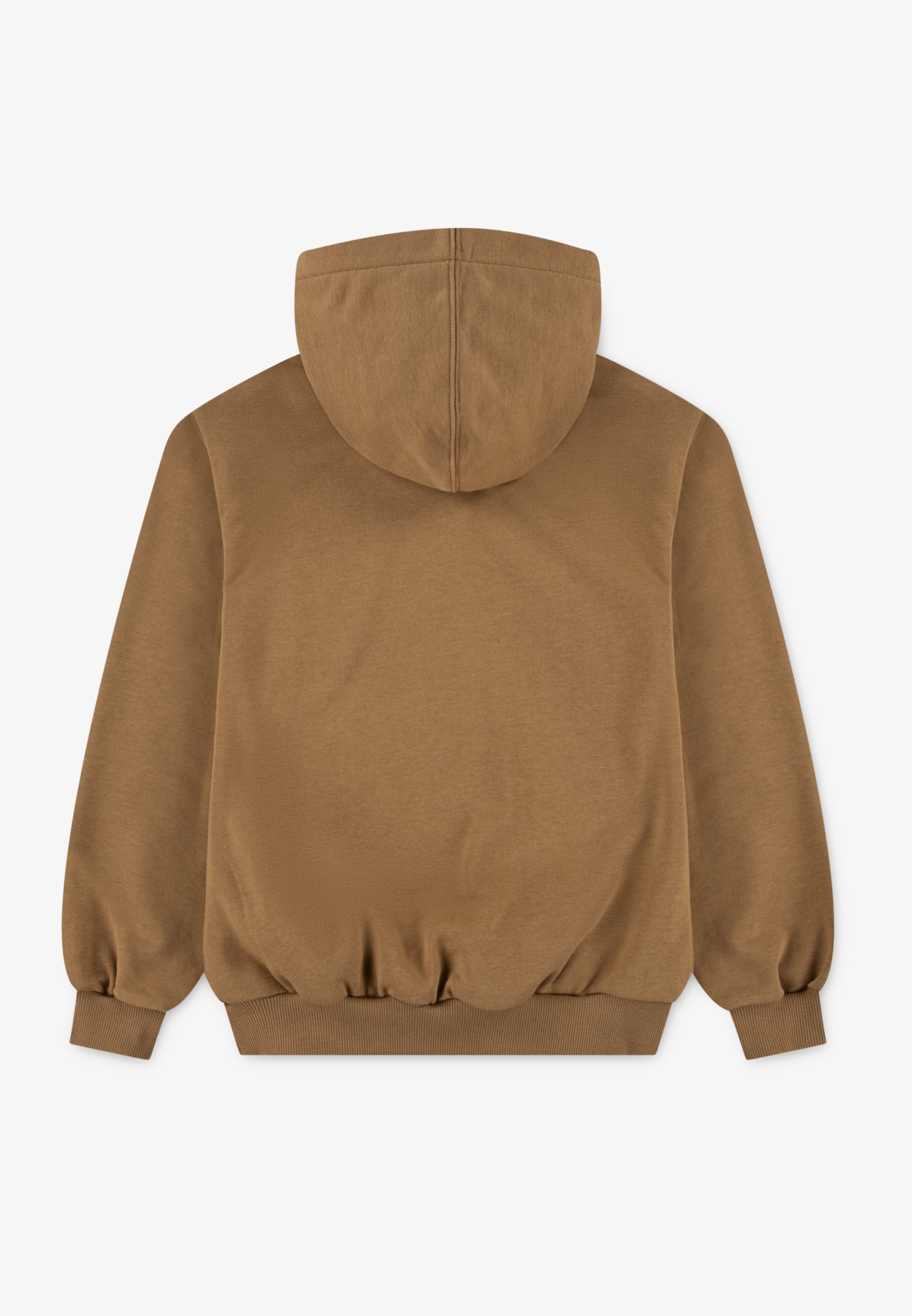 Converse DISSECTED - Hoodie - incensed