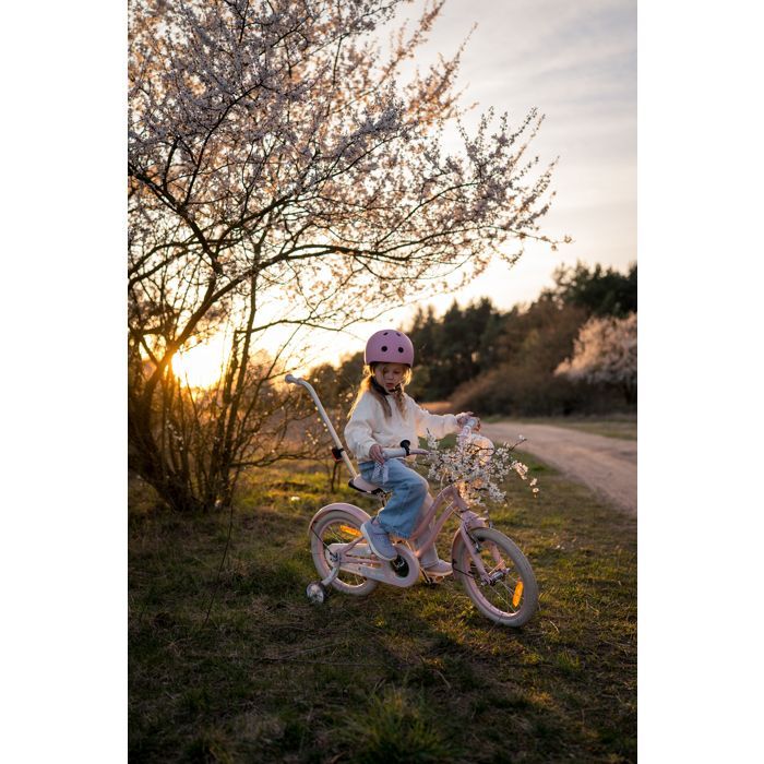 Children's Bicycle - Heart Bike - 16