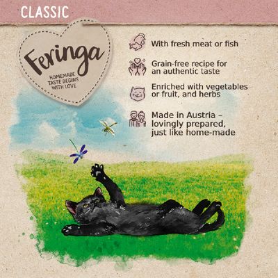 Gatinho Feringa Aves Clássicas