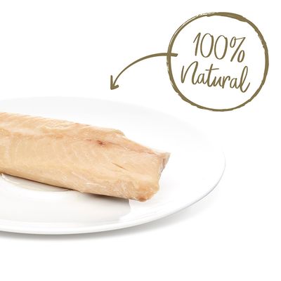 Filetto di salmone gatto Applaws
