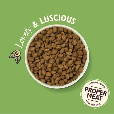 Lily's Kitchen tørrfôr til voksne hunder - lam, poteter og persille