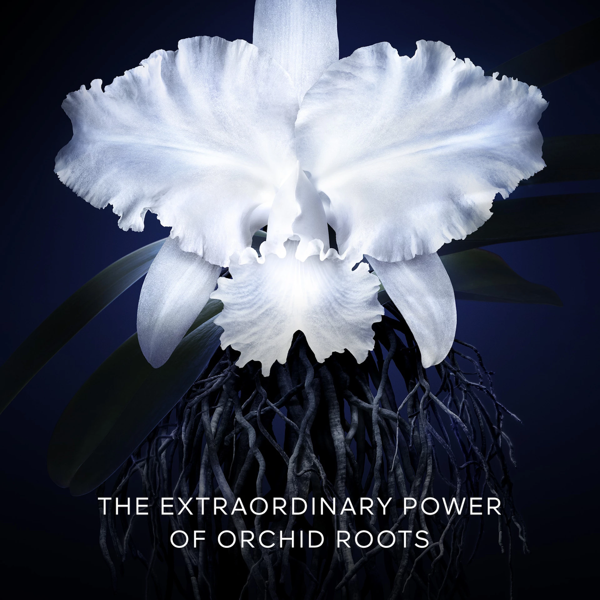 Crema de zi Orchidée Impériale 50 ml - GUERLAIN