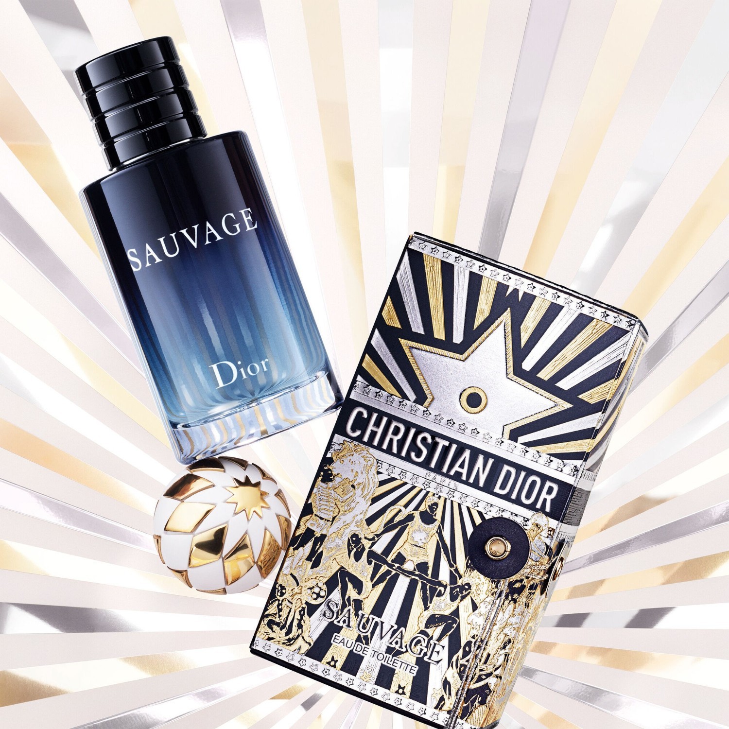DIOR Eau de Toilette Sauvage Limited Edition – 100 ml