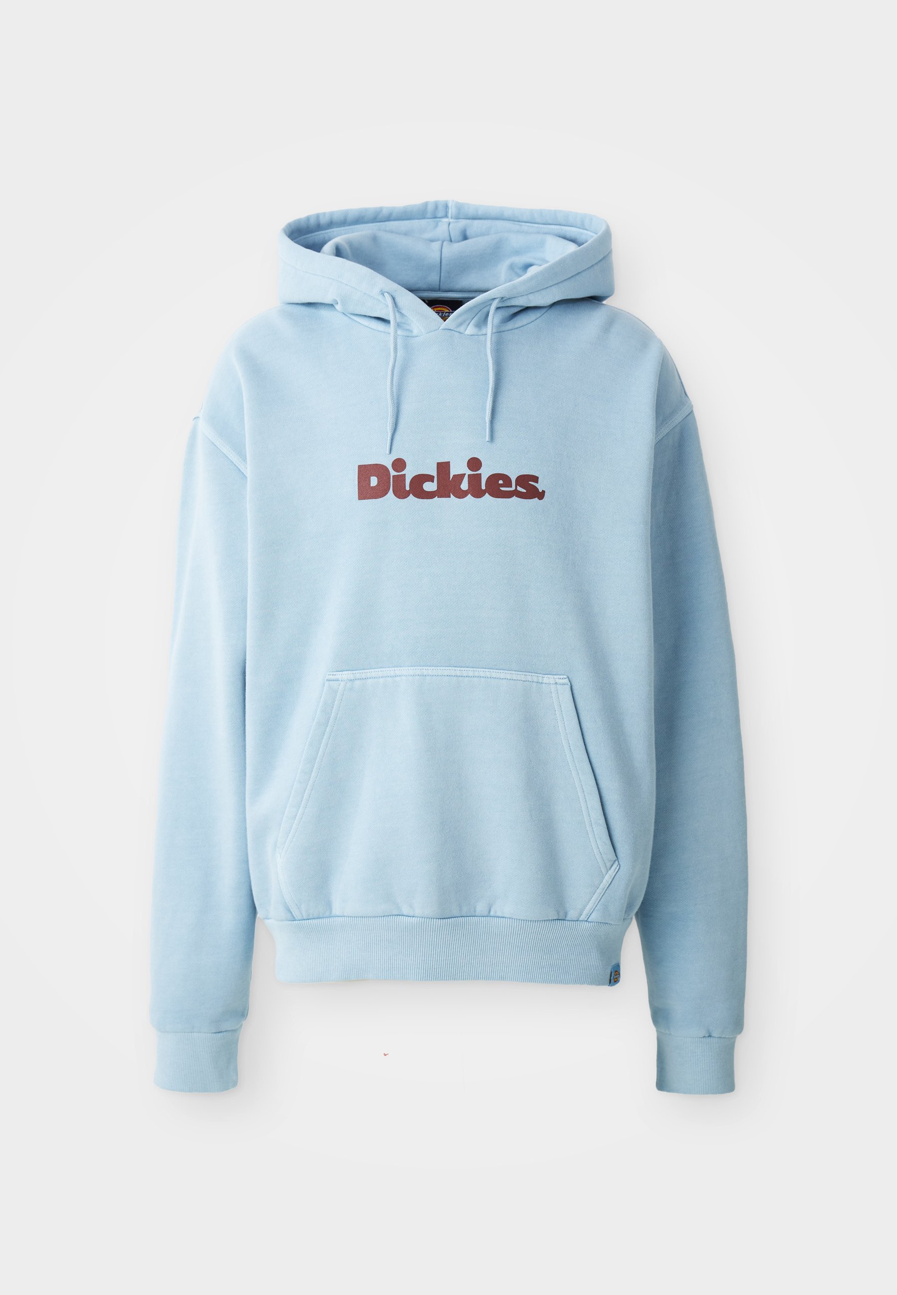 Dickies SLAYDEN HOODIE - Sweatshirt - gletsjermeer