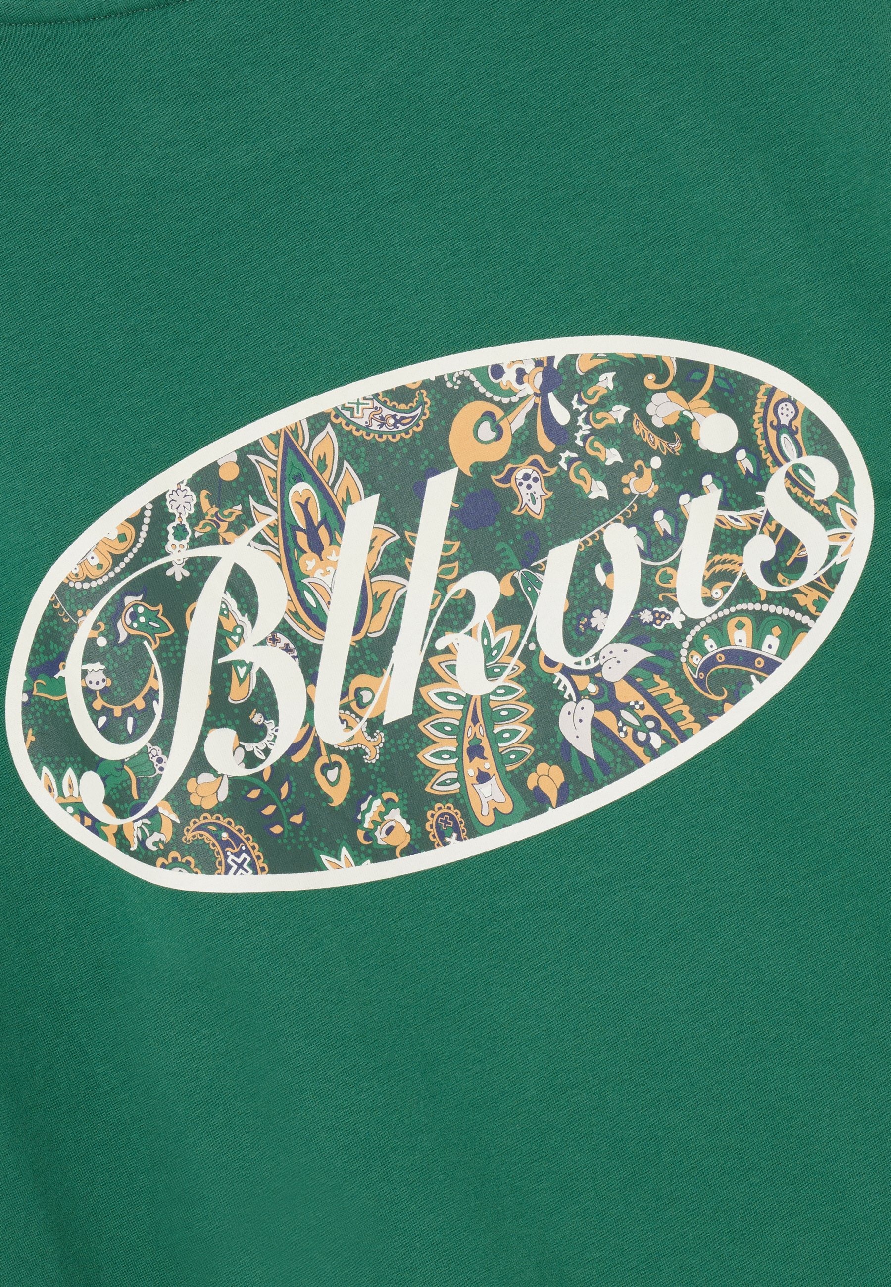BLKVIS UNISEX - Printtipaita - light green