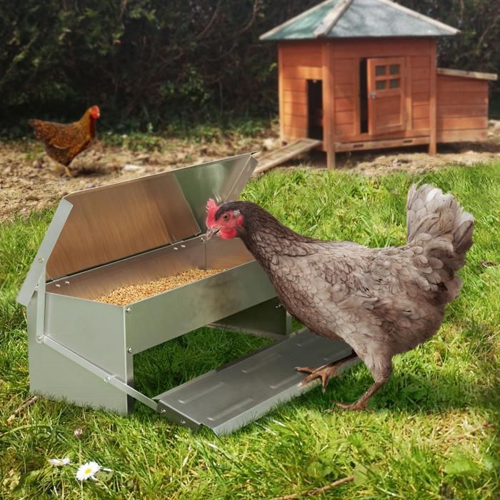 IDMARKET XL Chicken Feeder, Automatic Pedal-Operated Steel Dispenser, 5 kg