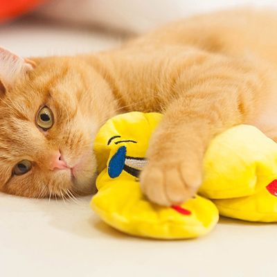 Cuscini con gatti Valerian e emoji di Aumüller