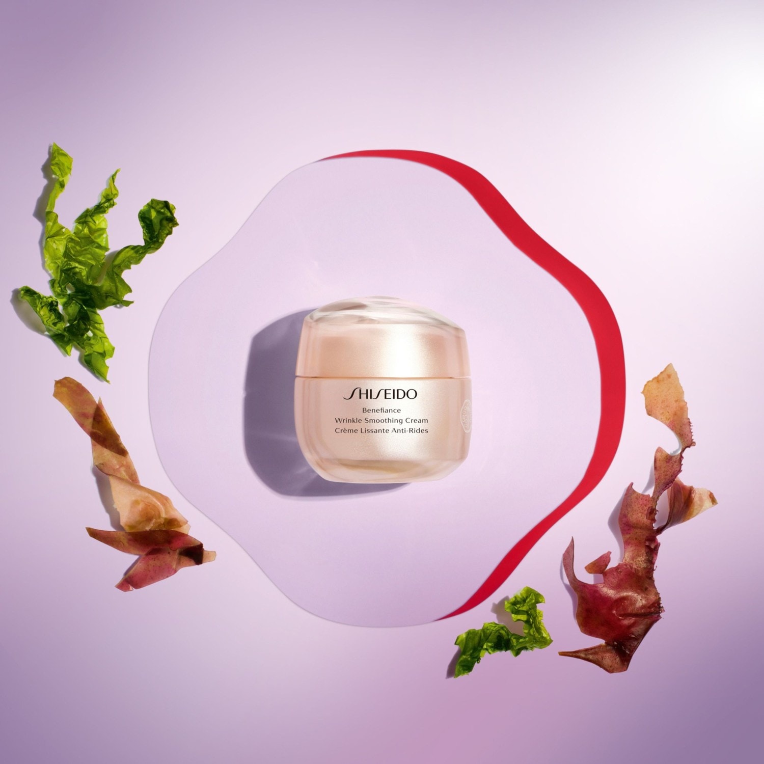Shiseido Crème Lissante Anti-Rides