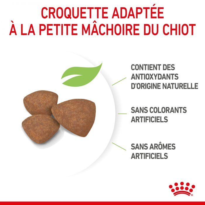 Croquettes - Royal Canin - Mini Junior - 2KG - Chiot - Petit chien - Croissance saine
