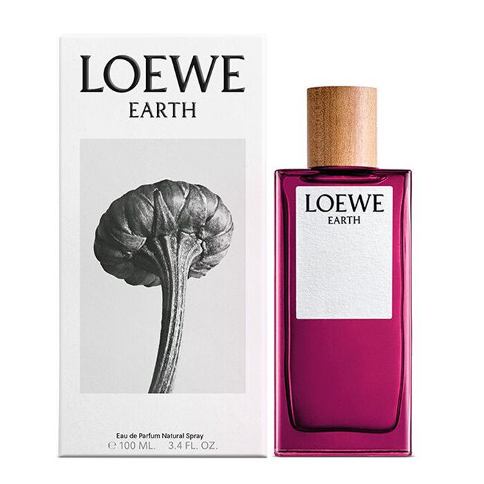 Loewe Earth