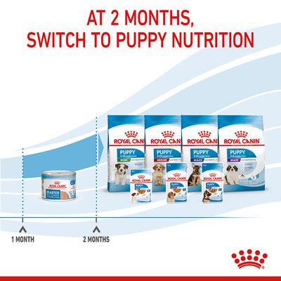 Royal Canin Starter Mousse Mutter & Junghund