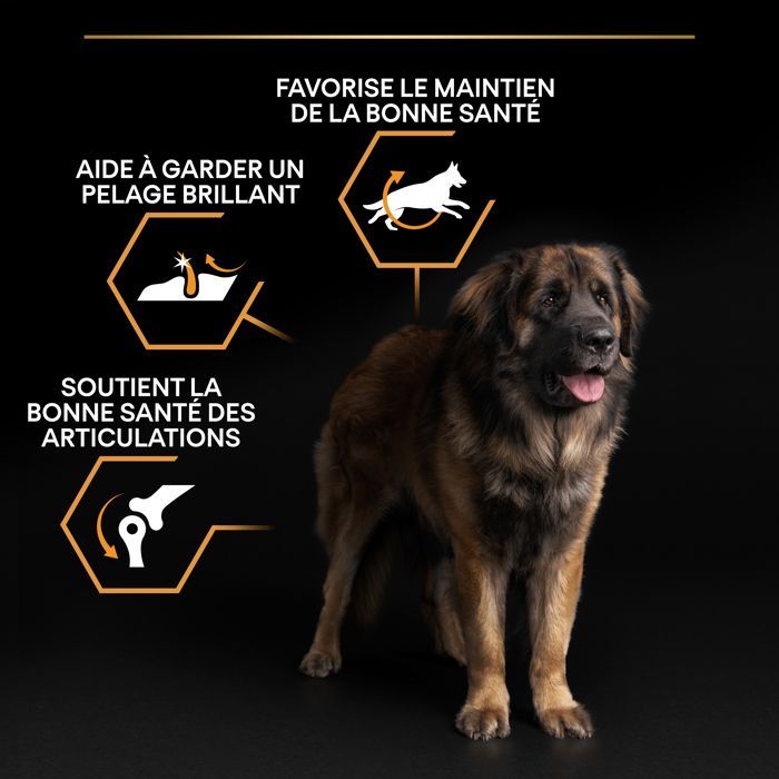 PRO PLAN Große, ausgewachsene Hunde – Robuste Tagesnahrung mit reichhaltigem Hühnchenanteil – 14 kg – Trockenfutter für ausgewachsene Hunde großer Rassen