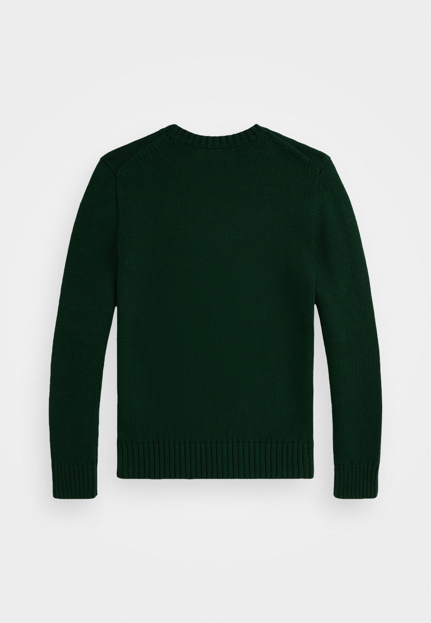 POLO BEAR SWEATER - Neule - moss agatePolo Ralph Lauren