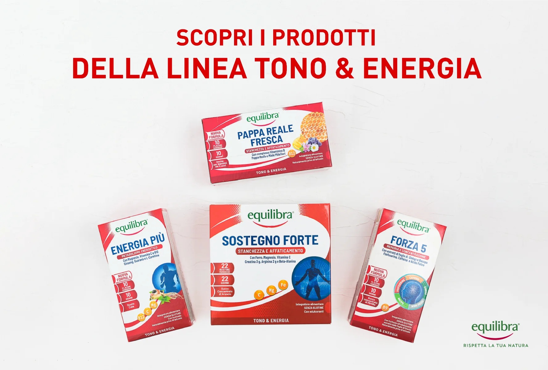 EQUILIBRA Equilibra Strong Support 22 sachets Complément alimentaire contre la fatigue et l'épuisement