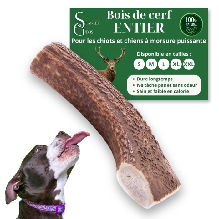 Bois de cerf pour Chien a Macher Entier Taille XXL Friandise pour Chiots et Chiens de Tout âges Jouet Mastication 1 pièce