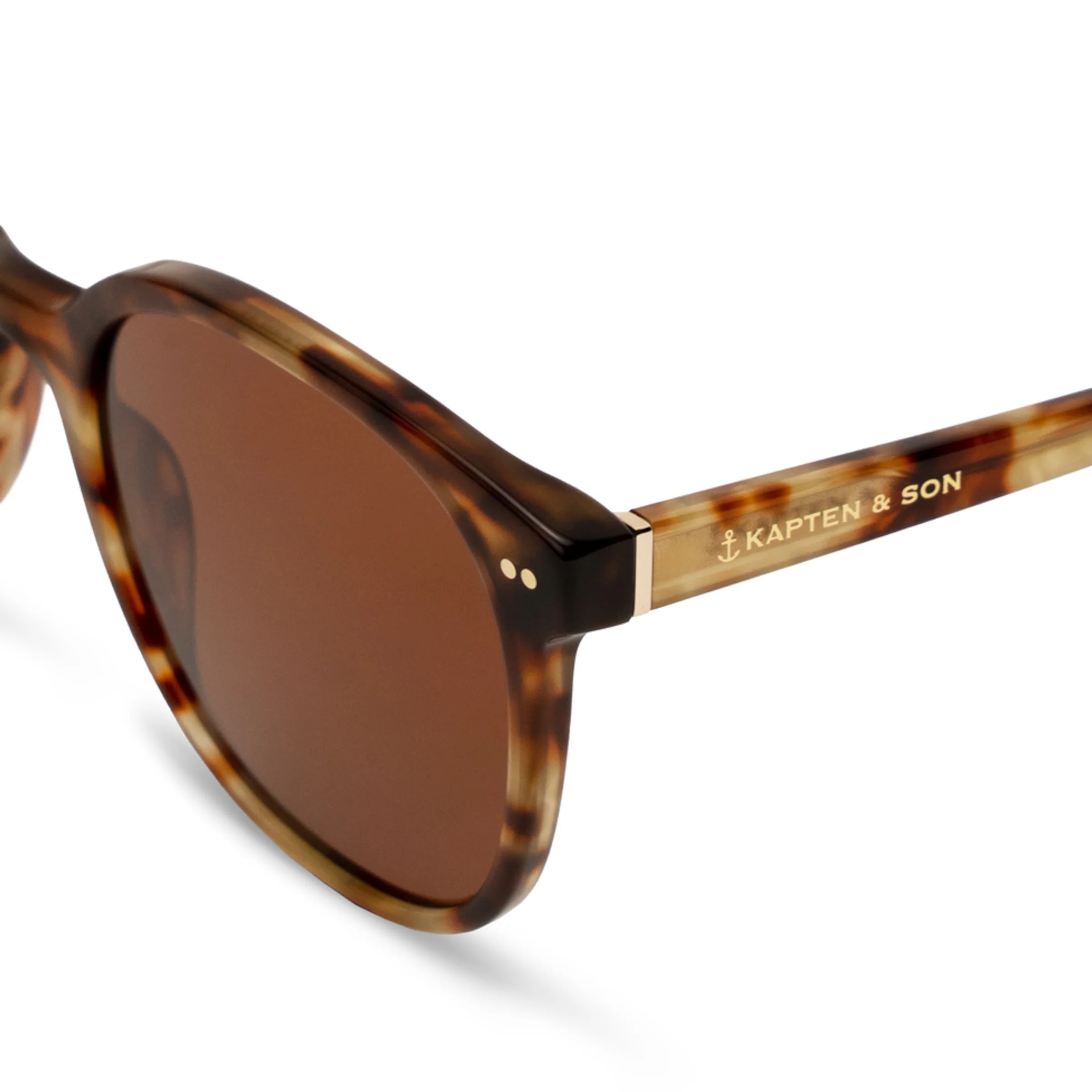 Tortue brune de Nairobi Havana