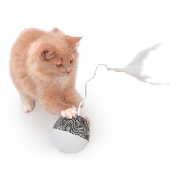 Pixi Spinner kattenspeeltje