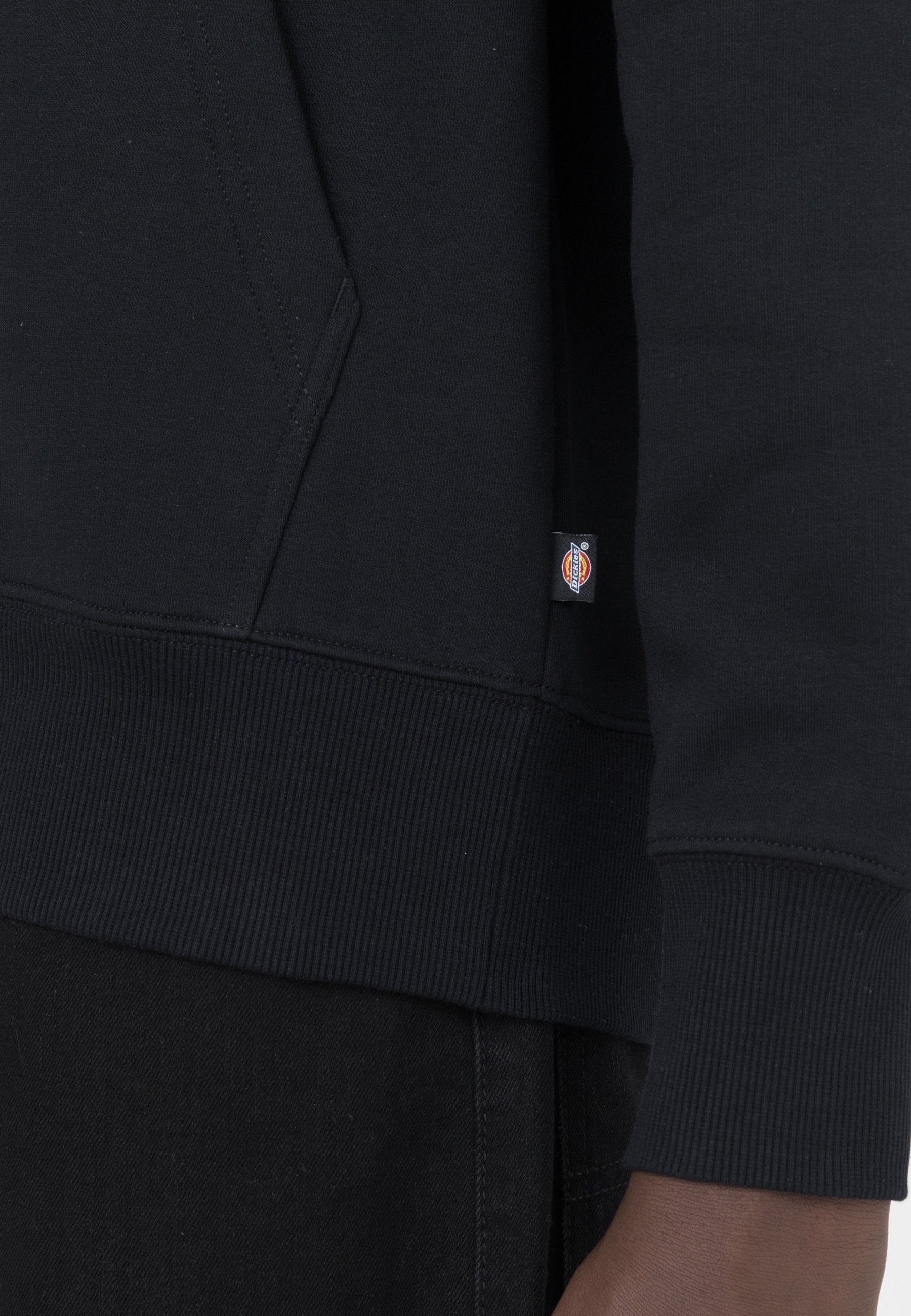 Felpa con cappuccio Dickies SUMMERDALE - nera