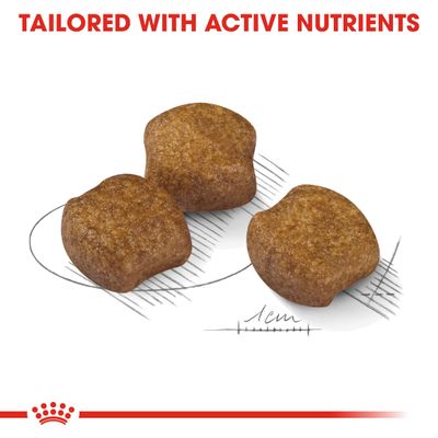 Royal Canin Care Nutrition Medium -ruoan hammashoito