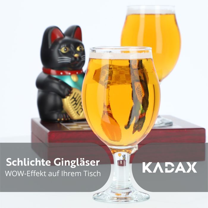 KADAX 6x Verres pour Bière et Gin Tonic Drinks 570ml Ensemble de Verres