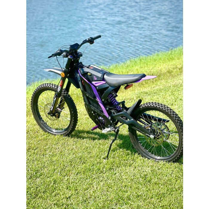 79Bike - Bicicleta eléctrica FALCON PRO, neumáticos todoterreno de 19