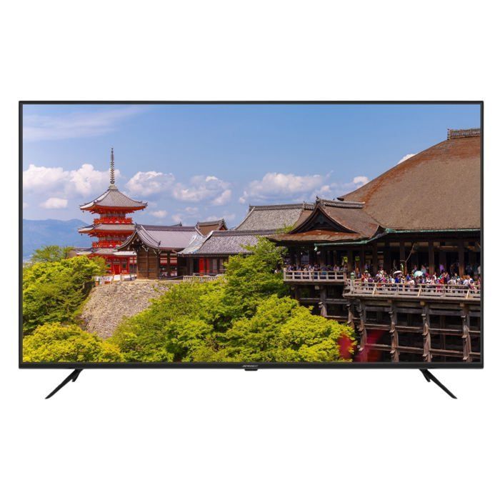 Monitor per PC di grande formato - JAPANNEXT - 65