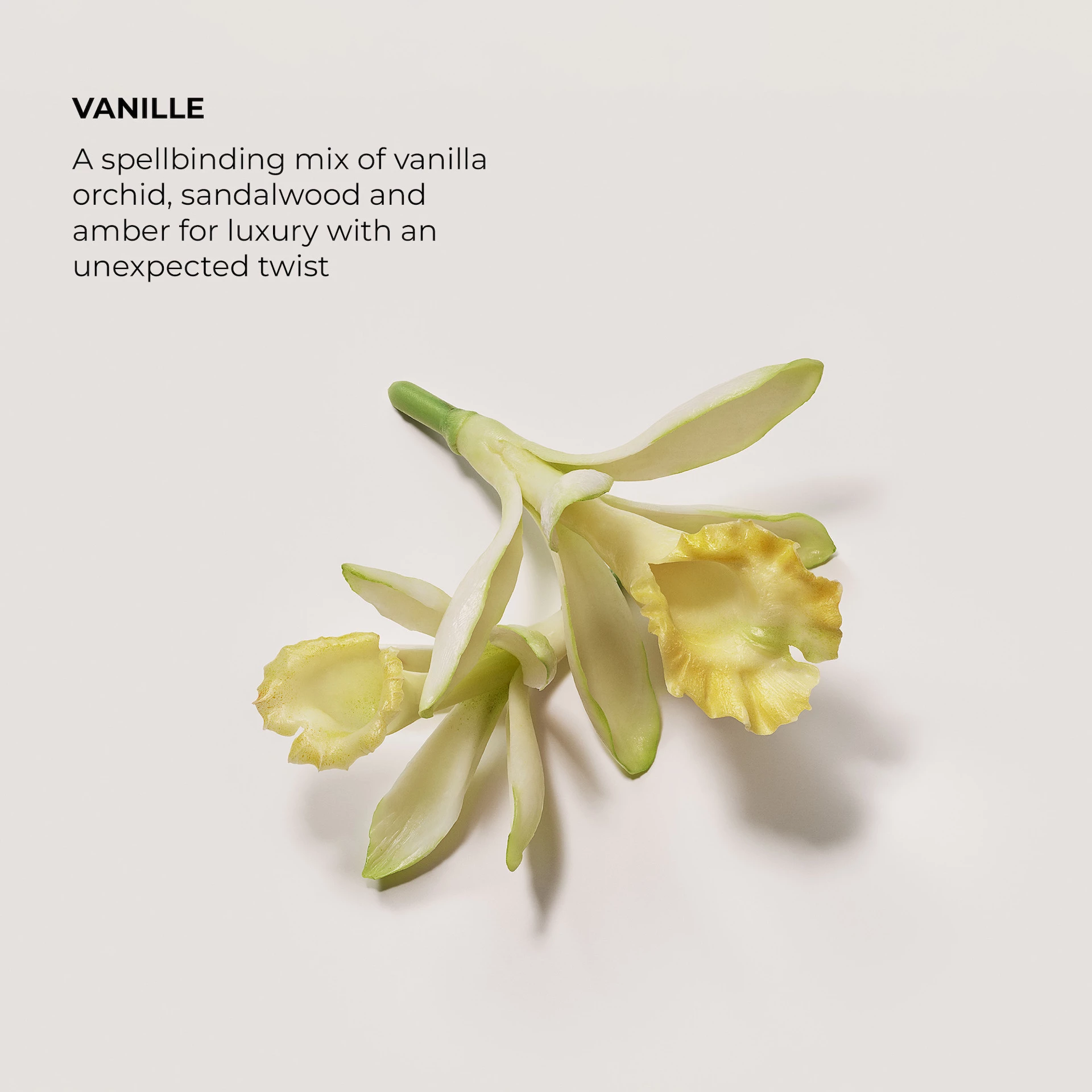 Vanília EdP 50 ml - Laura Mercier