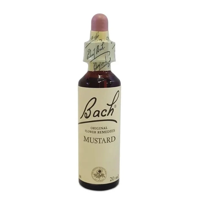 NATUR Bach Center Ess Senf 20 ml