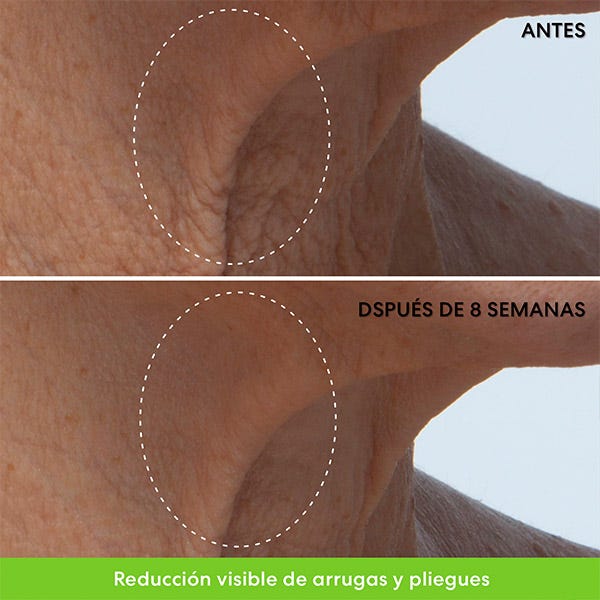 Ageless Phyto-Retinol Halscreme | 50 ml