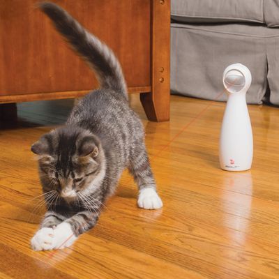 Παιχνίδι για γάτες PetSafe® FroliCat® Bolt Laser
