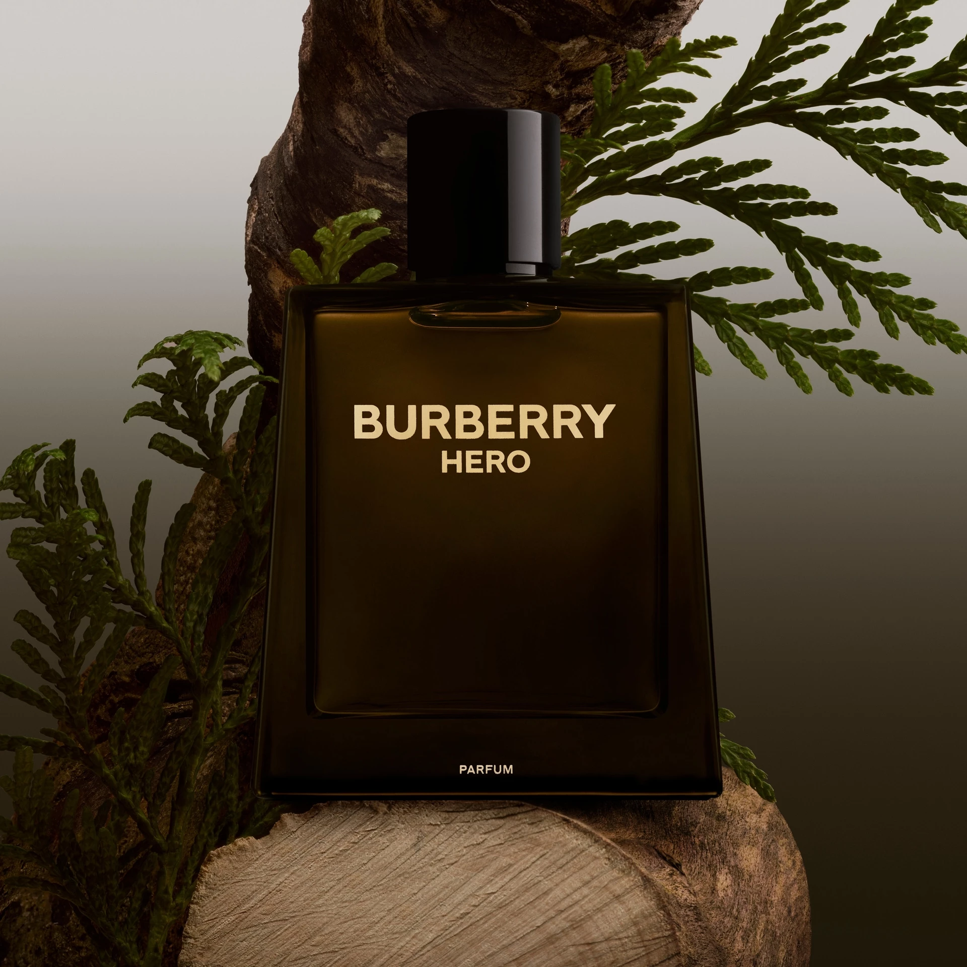 Kvepalai „Hero Parfum“ 50 ml – „Burberry“