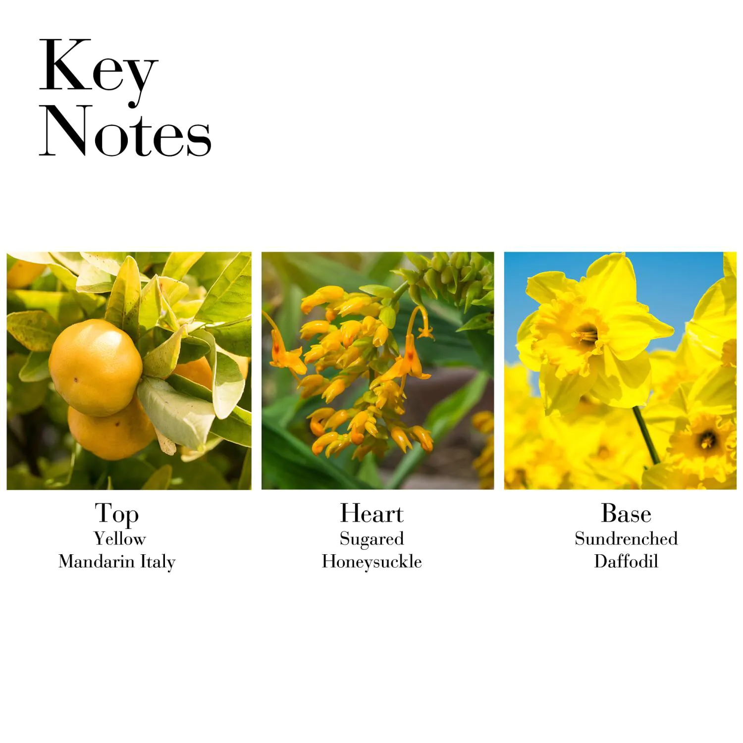 Elizabeth Arden Sunflowers Woda toaletowa dla kobiet 50 ml