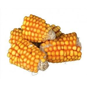 Friandise naturelle - TRIXIE - Morceaux d'épis - Sans addition de sucre - Pour lapins et petits rongeurs - 300g