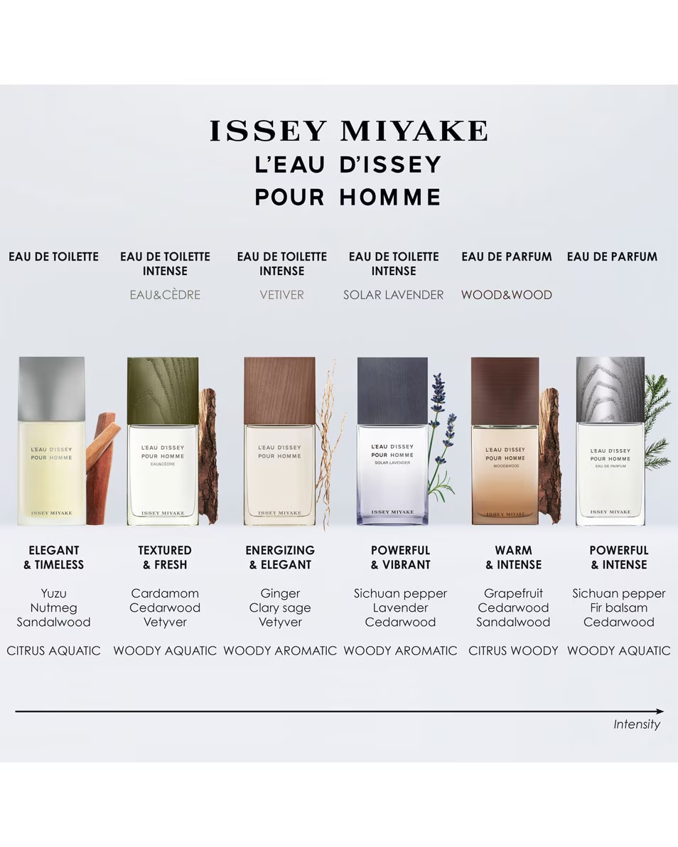 ISSEY MIYAKE ISSEY WATER FOR MEN ΞΥΛΟ & ΑΡΩΜΑ ΞΥΛΟΥ