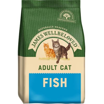 James, gatto adulto molto amato - Pesce