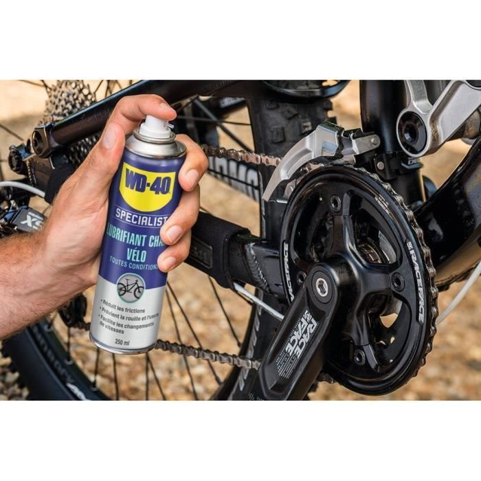 WD-40 – Kettenschmierstoff für alle Bedingungen – 250-ml-Sprühflasche