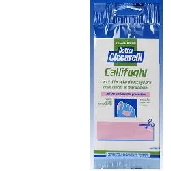 CICCARELLI Callif Ciccarelli tela 2 peças
