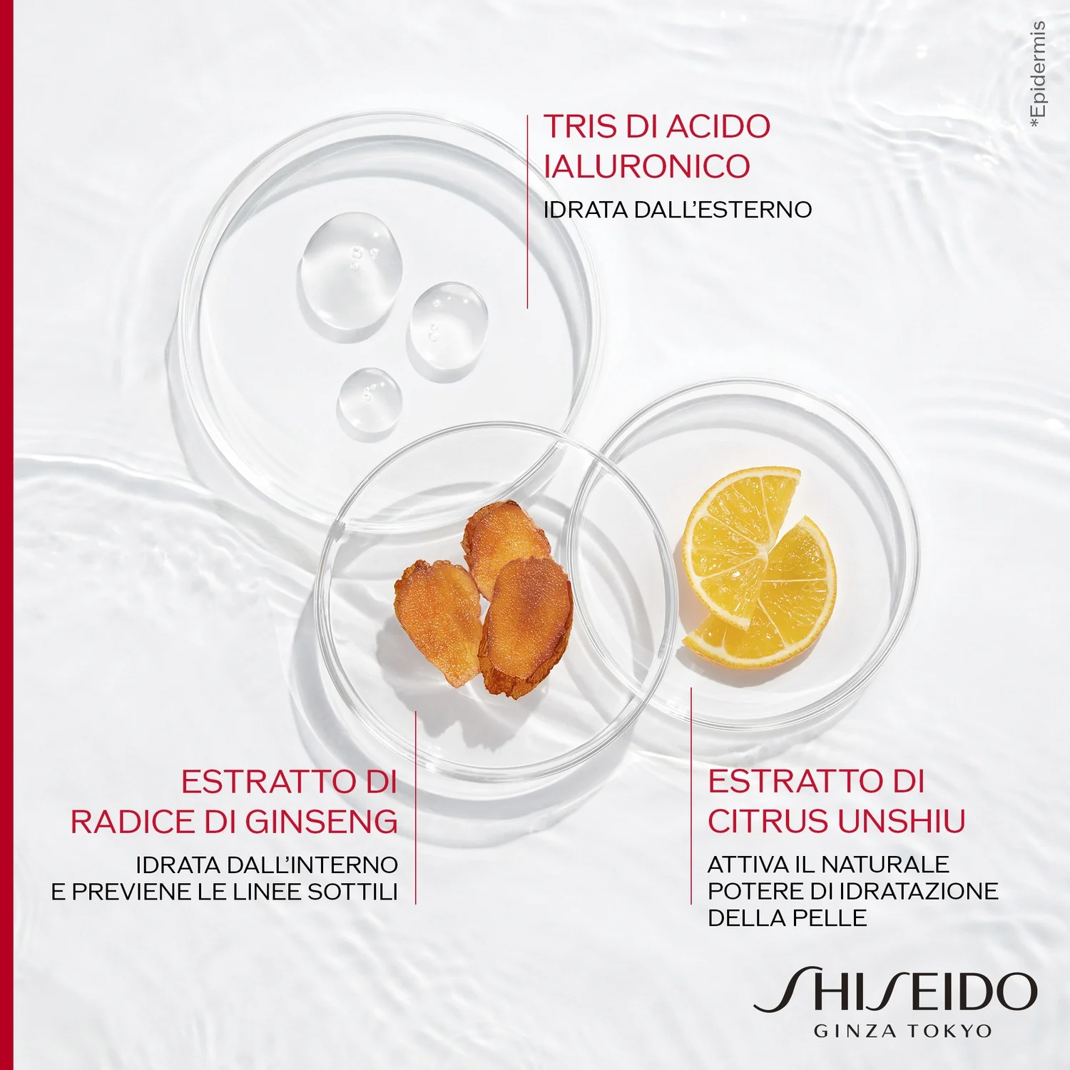 Essential Energy Hydrating Cream REFILL - Tratt.viso 24 ore antirughe