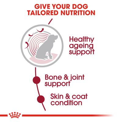 Royal Canin Vieillissement Moyen 10+ en Sauce