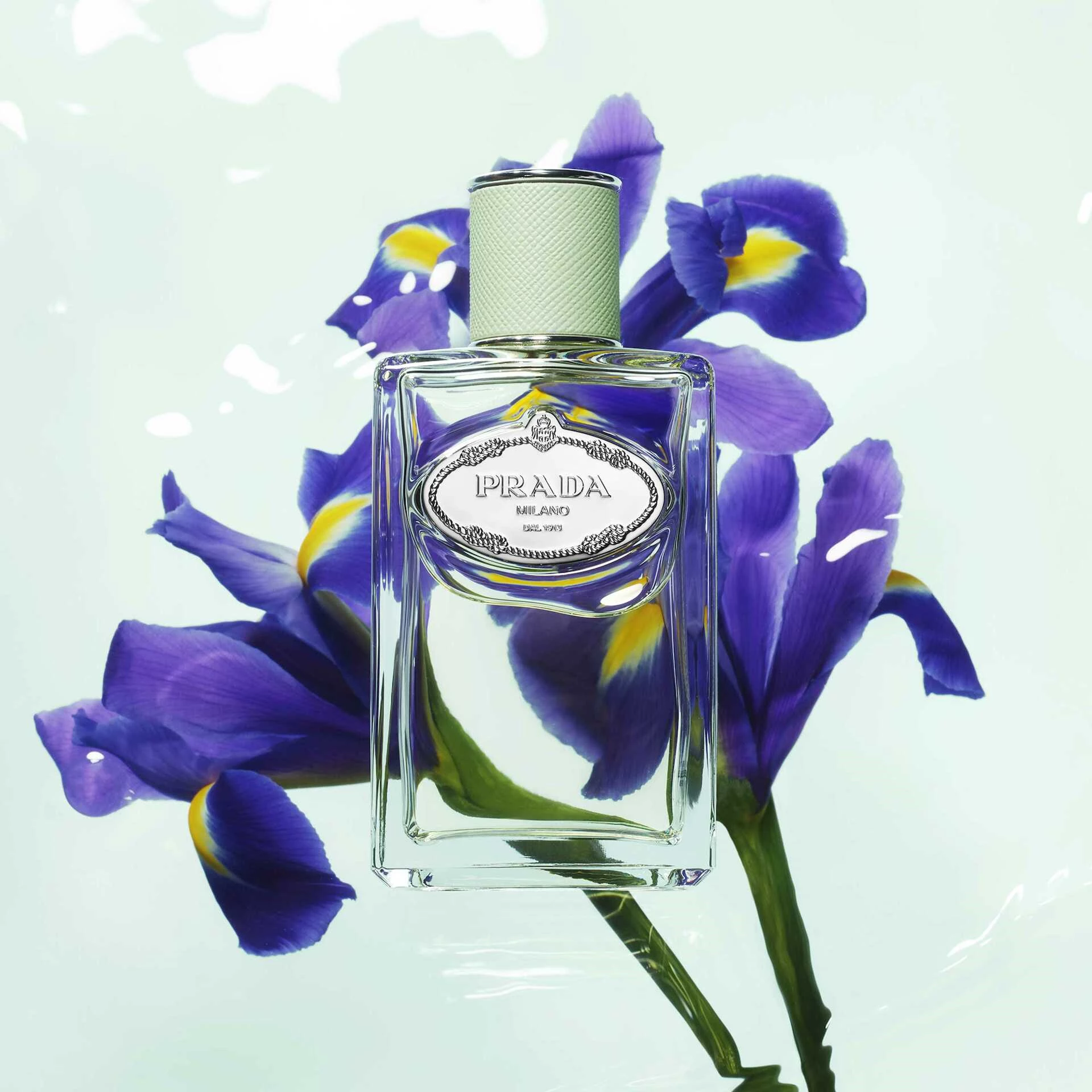 Infusion D'Iris EdP 100 ml - Prada