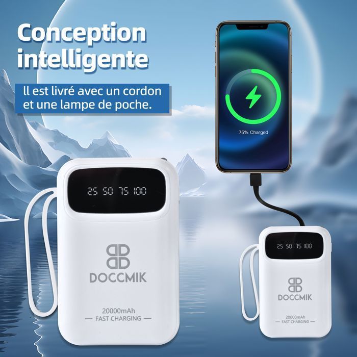DOCCMIK Batterie Externe 20000mAh Power Bank avec 4 Câbles Intégrés Batterie Portable et LED Lampe Blanc